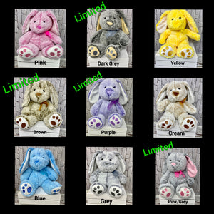 Easter Personalized Embroidered Plush Bunny/Rabbit (Both Ears)